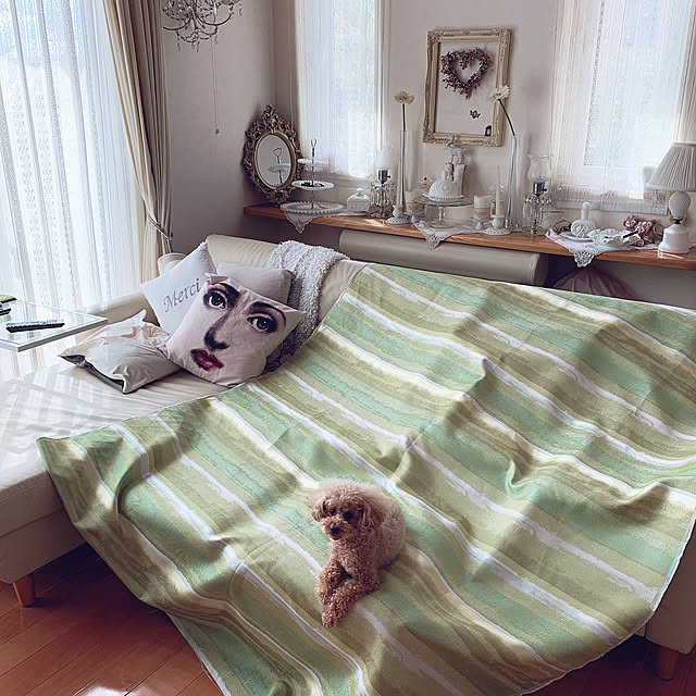 Momoさんの実例写真