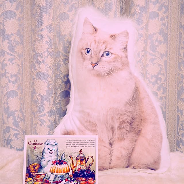 qnqnさんの実例写真