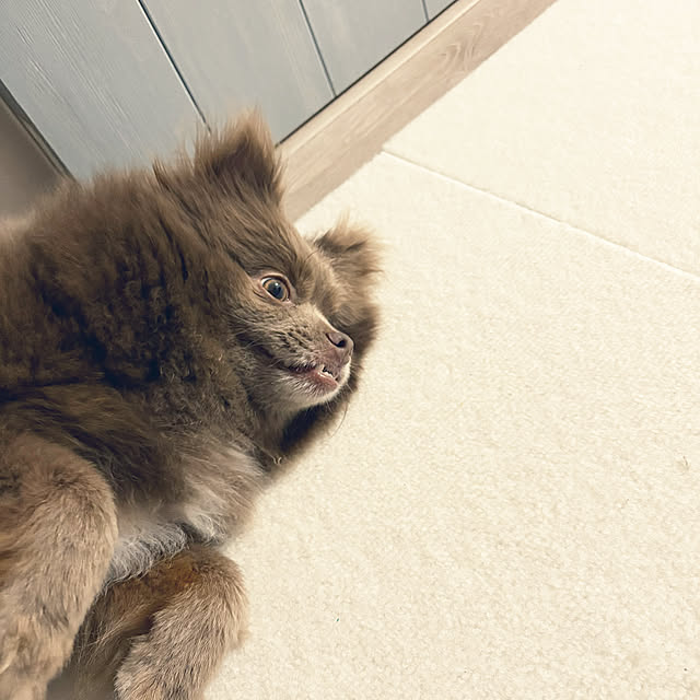 RYOさんの部屋