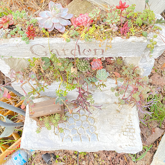 0103_eriさんの部屋