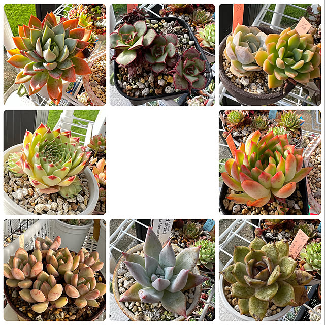 melmelさんの実例写真