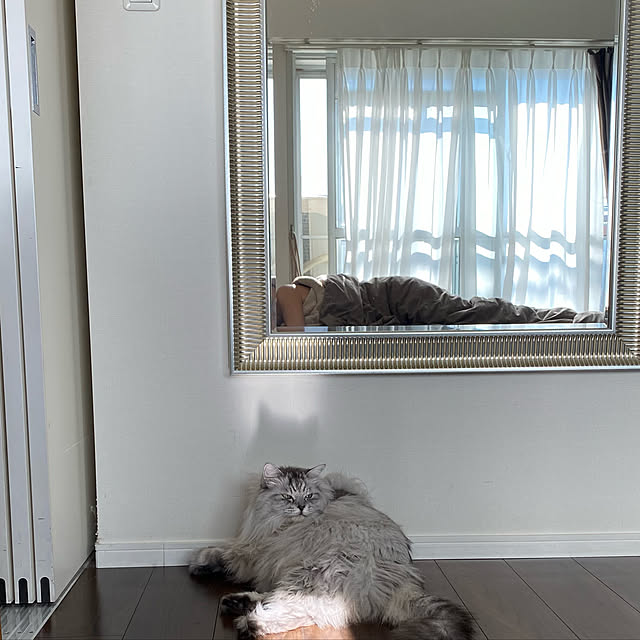 ntmingさんの実例写真