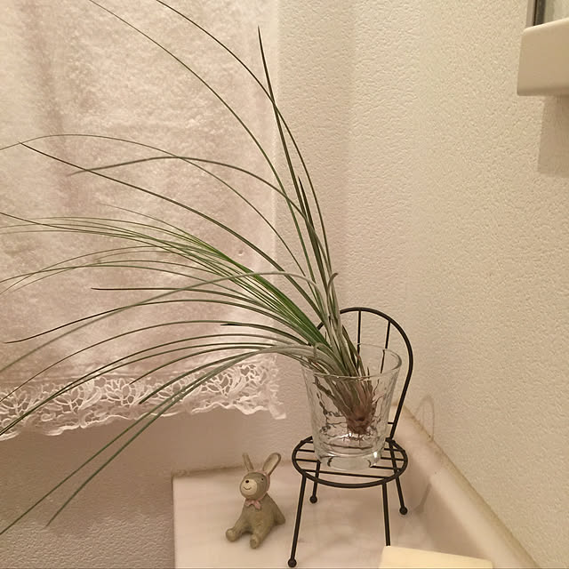 Enjuさんの実例写真