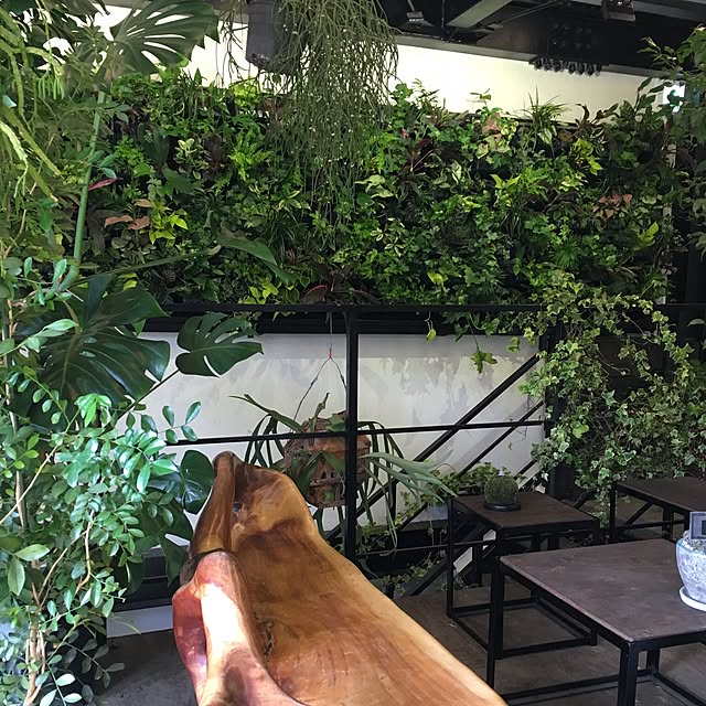tetra163さんの実例写真