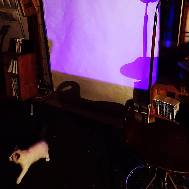 Chekaさんの実例写真