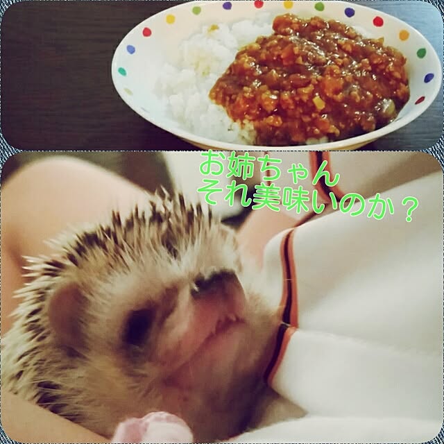 kuruさんの実例写真
