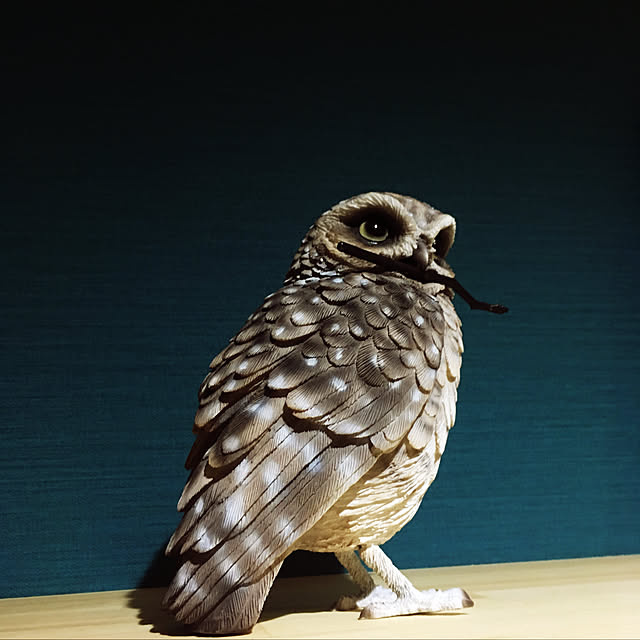 Yasuhiroさんの実例写真