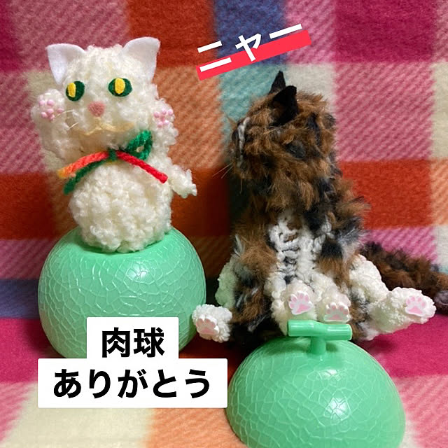manduonmaさんの実例写真