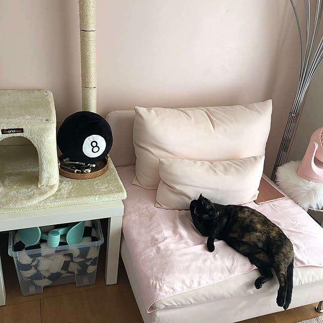 kanaさんの部屋