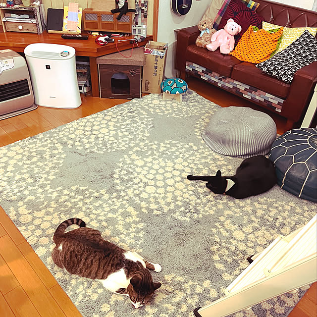 jijiさんの実例写真