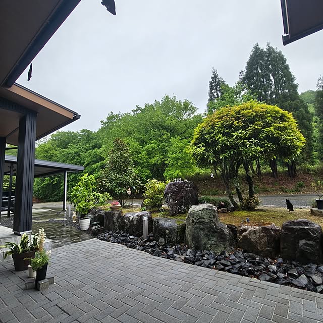 Rubiconさんの部屋