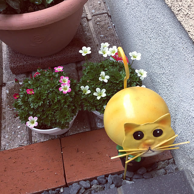 richanさんの実例写真