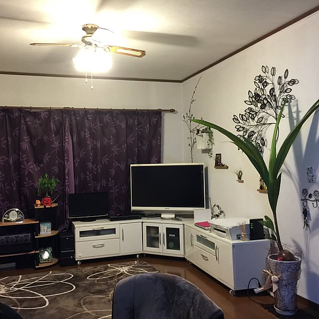 部屋全体/観葉植物のインテリア実例 - 2016-02-20 22:28:14