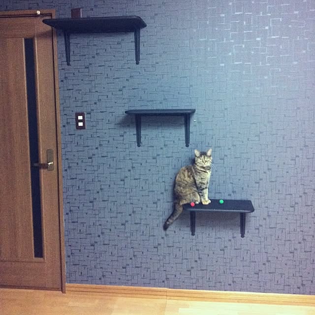 部屋全体/手作りのインテリア実例 - 2013-05-02 20:41:51