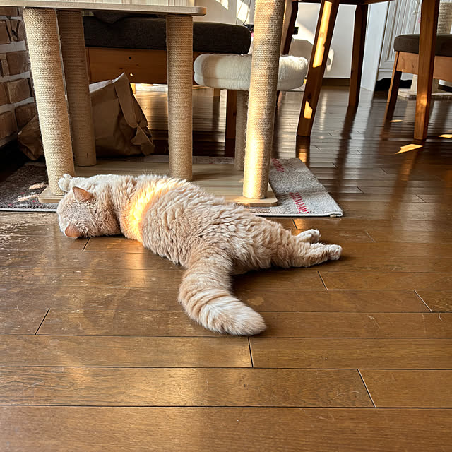 naokoさんの部屋