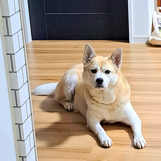 BAZさんの実例写真