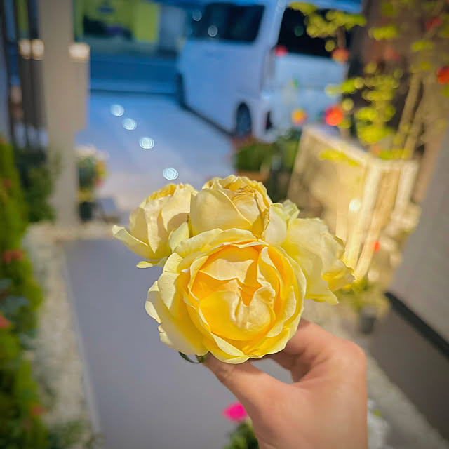 実例写真
