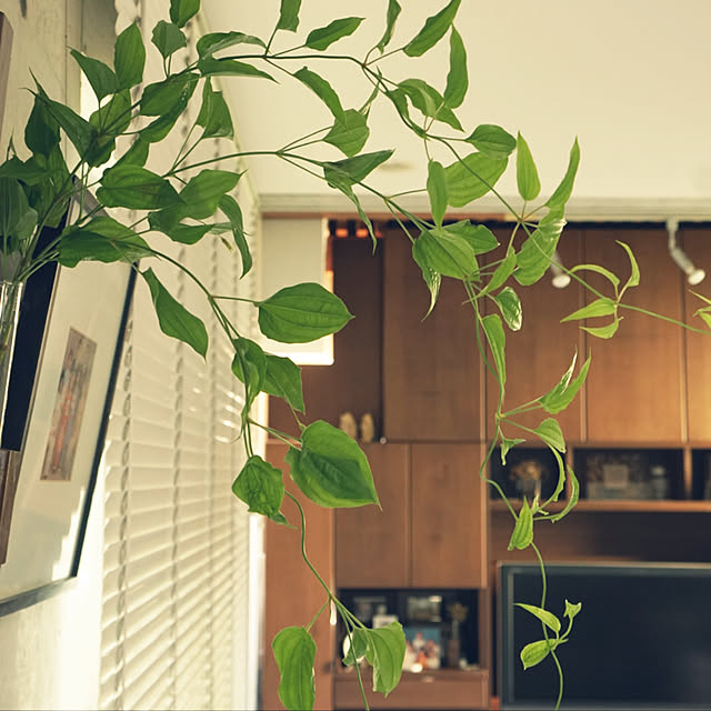 flowerさんの実例写真