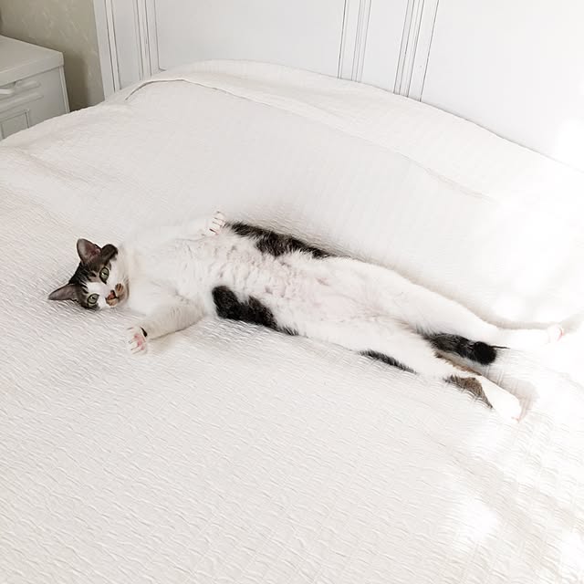 yuchiさんの実例写真