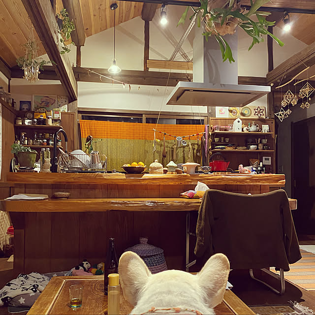 Gyokureiさんの実例写真