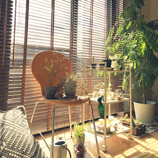 ao___.さんの実例写真