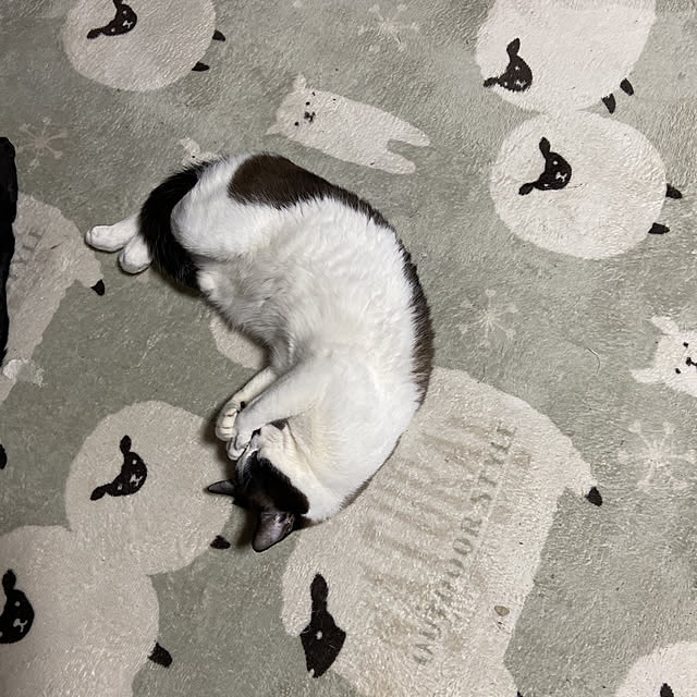 vivienne.coco-keiさんの実例写真