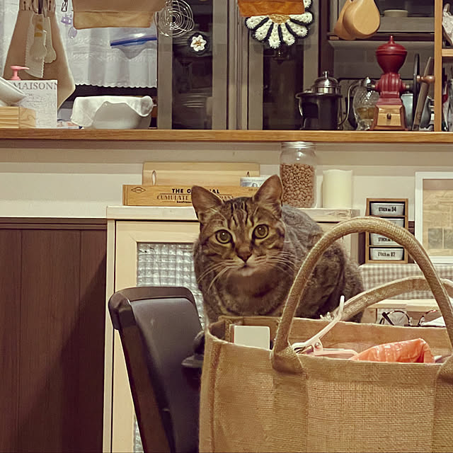 chikaさんの実例写真