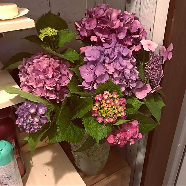 Nobukoさんの実例写真