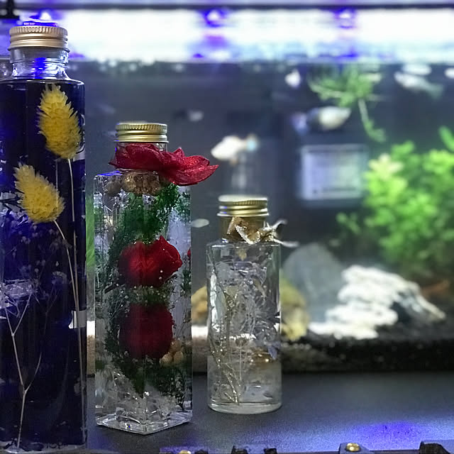 kouta_Co.さんの実例写真