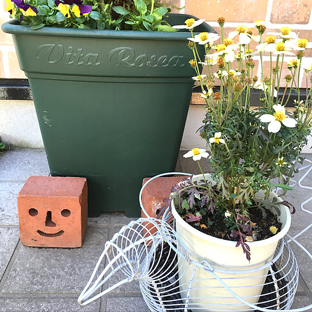magさんの実例写真
