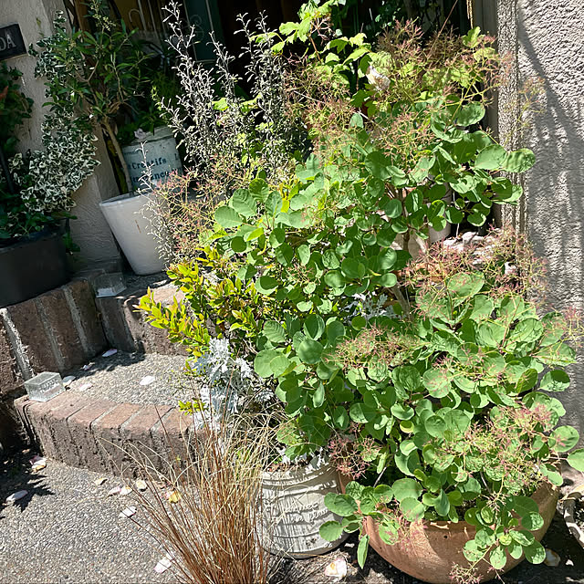 asako.10さんの実例写真