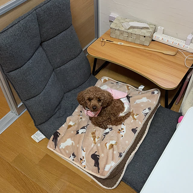 yoshimi4430さんの実例写真