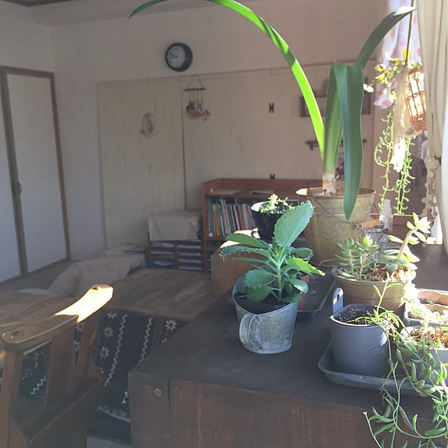 tocotoco.10さんの実例写真
