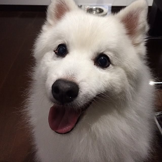 leeさんの実例写真