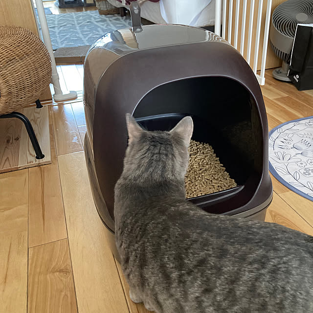 Yuccaさんの部屋
