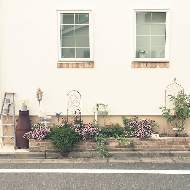 Momoさんの実例写真