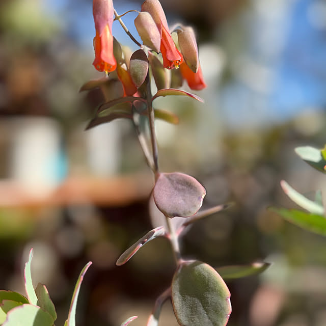 Aqettyさんの部屋