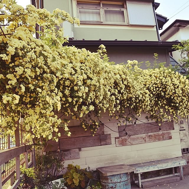GreenWorksさんの実例写真