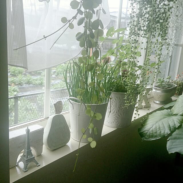 deco-ranさんの実例写真
