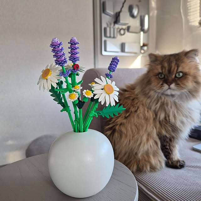 753さんの実例写真