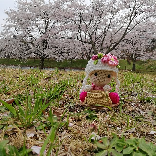 実例写真