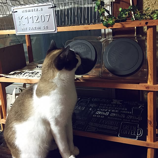 vivienne.coco-keiさんの部屋