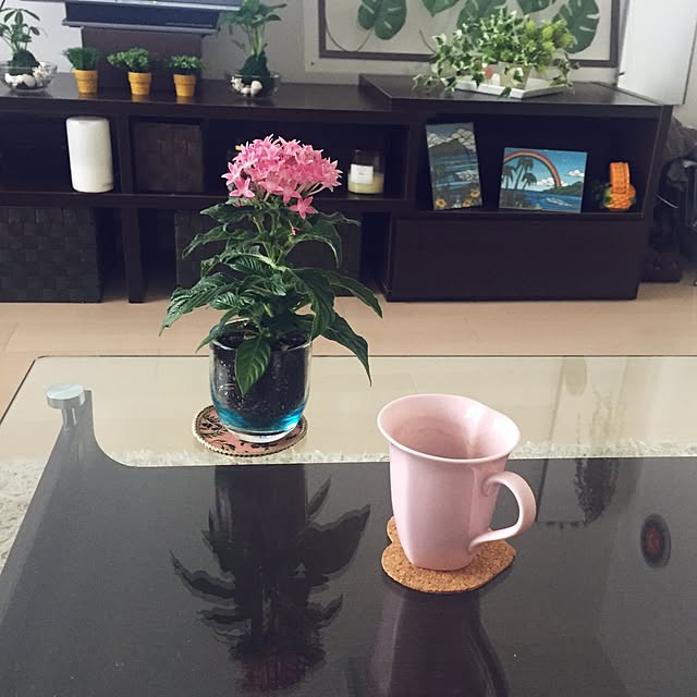 fraiseさんの実例写真