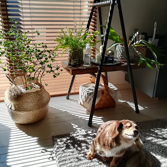 rikakoさんの実例写真