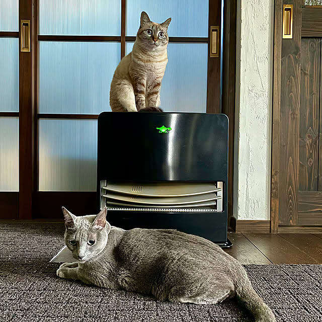 capelさんの実例写真