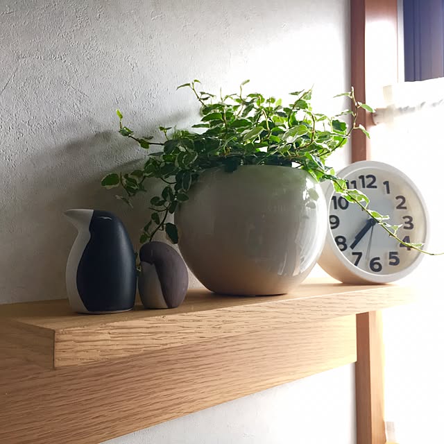 tom_myさんの実例写真