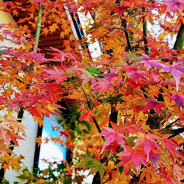 reeさんの実例写真