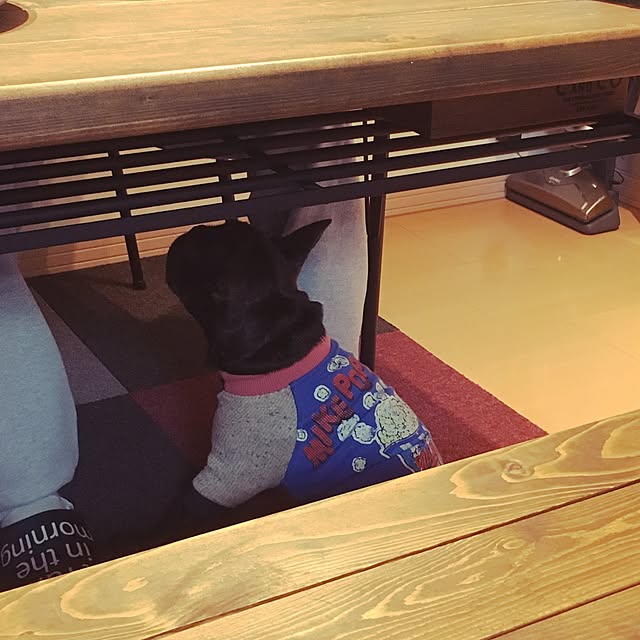 chicoさんの実例写真