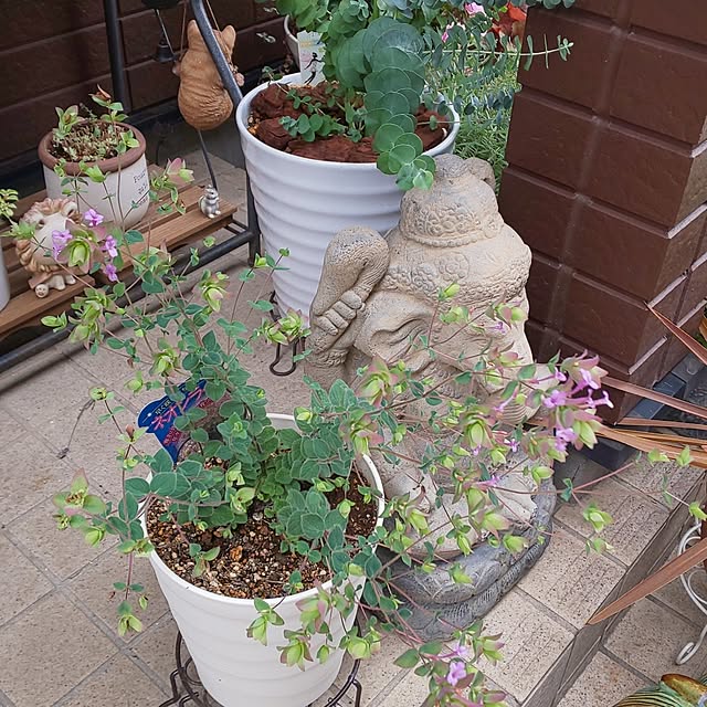 yumiyumiさんの部屋
