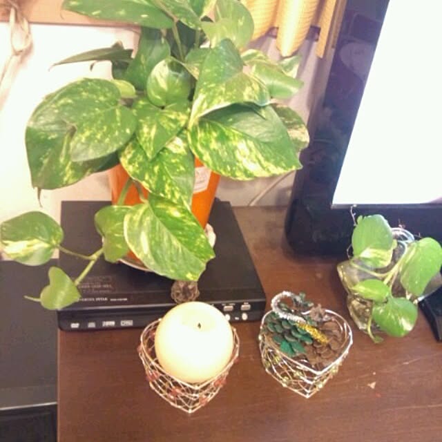 asa0521さんの実例写真